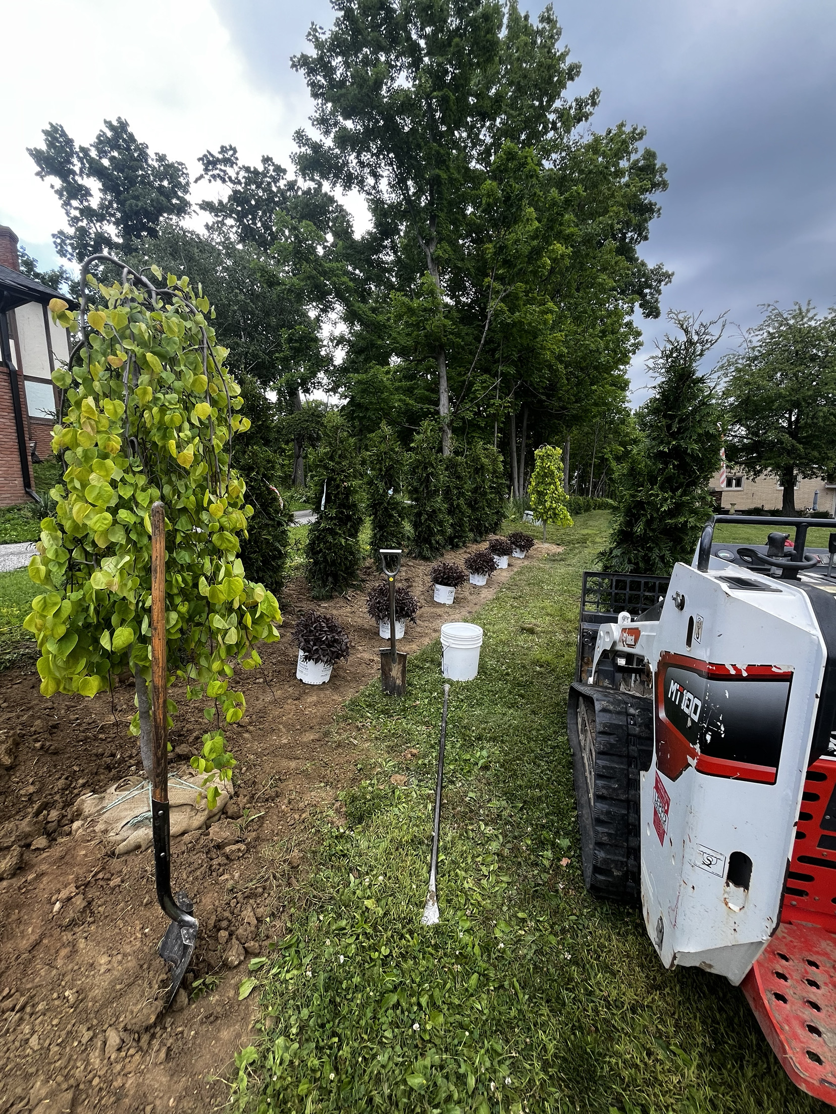 Planting & Garden Design